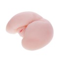 The Realistic Vagina and Ass